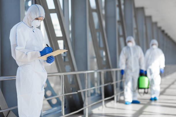 Best Biohazard Mold Removal  in Skagway, AK