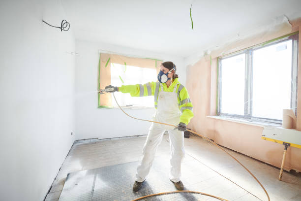 Skagway, AK Mold Removal Company