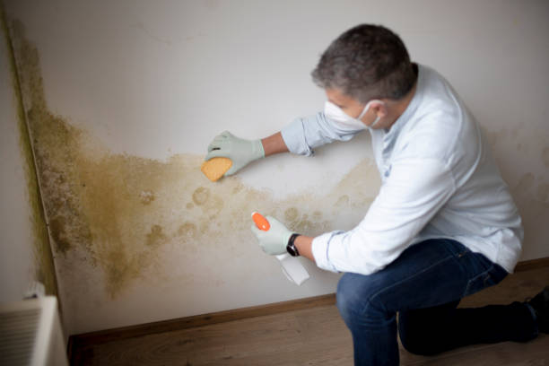 Asbestos and Lead Testing During Mold Inspection in Skagway, AK