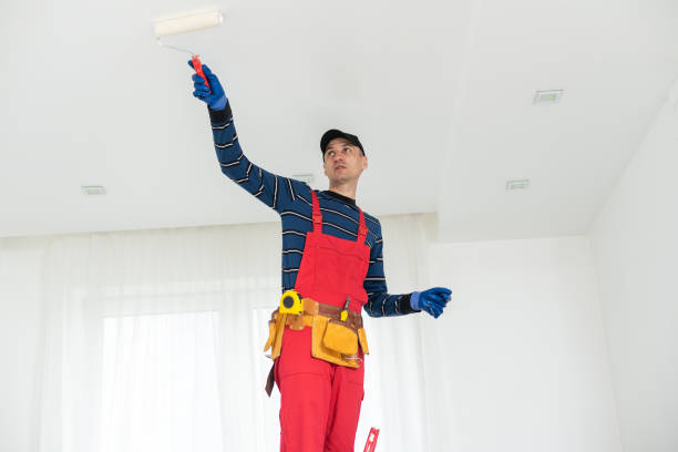 Best Commercial Mold Inspection  in Skagway, AK
