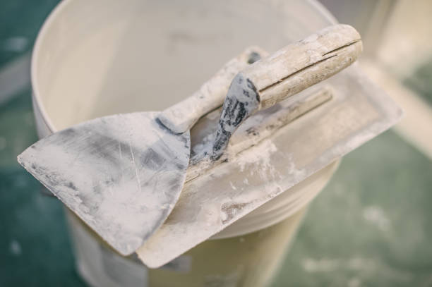 Best Black Mold Removal  in Skagway, AK