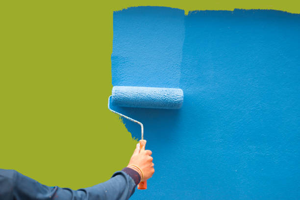 Best Basement Mold Removal  in Skagway, AK